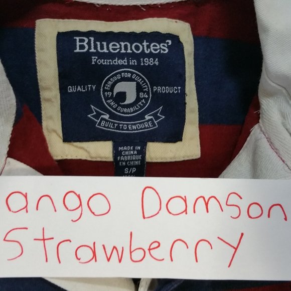 Men's Clothes Grand Lot - 53 Clothing Garments - Picture 10 of 16